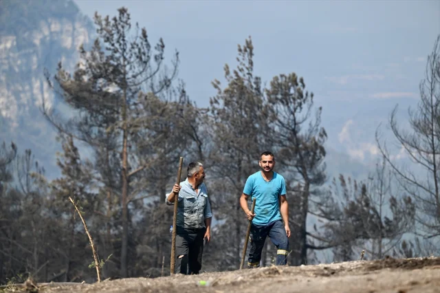 Karabük'ün Yeşil Vatan Kahramanları: Orman Yangınlarıyla Mücadele Sürüyor