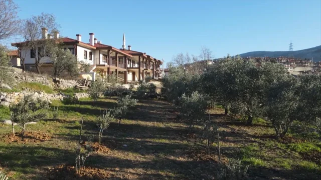 Bakan Murat Kurum'dan Yangınlar Sonrası Yeniden İnşa Mesajı