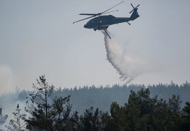 İzmir Bornova'da Orman Yangınına Hızlı Müdahale