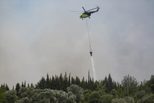 İzmir Bornova'da Orman Yangınına Hızlı Müdahale