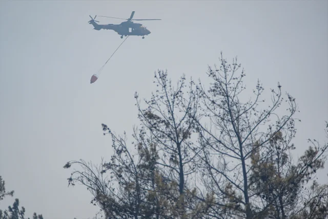 İzmir Bornova'da Orman Yangınına Hızlı Müdahale