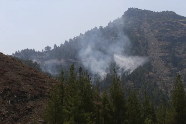 Kahramanmaraş'ta Orman Yangını: Müdahale ve Son Durum