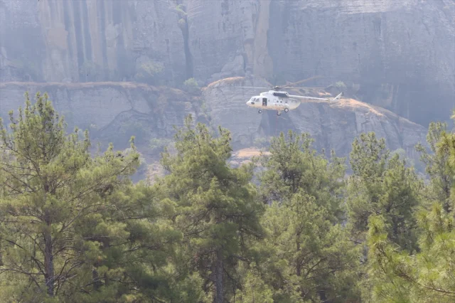 Kahramanmaraş'ta Orman Yangını: Müdahale ve Son Durum