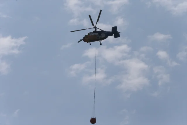 Kahramanmaraş'ta Orman Yangını: Müdahale ve Son Durum