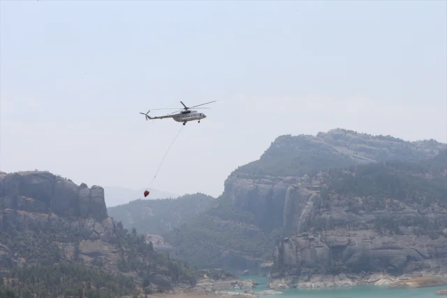 Kahramanmaraş'ta Orman Yangını: Müdahale ve Son Durum
