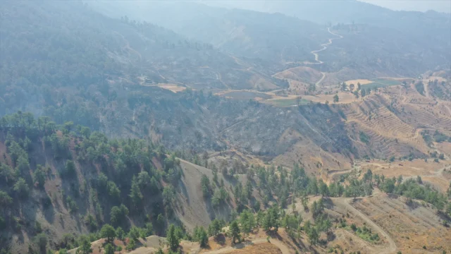 Kahramanmaraş'ta Orman Yangını: Müdahale ve Son Durum