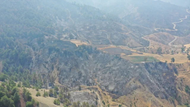 Kahramanmaraş'ta Orman Yangını: Müdahale ve Son Durum