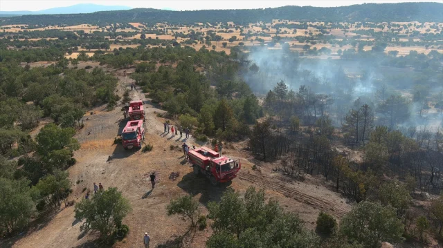 Kütahya'daki Orman Yangını Hızlı Müdahaleyle Kontrol Altına...