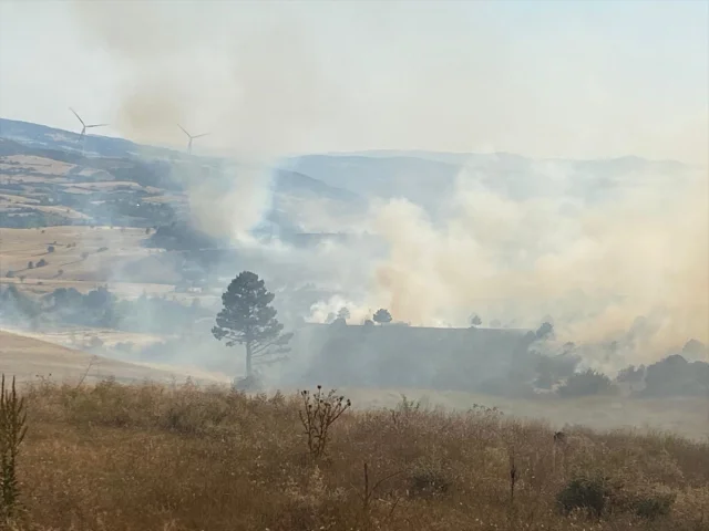 Kütahya Orman Yangınına Havadan ve Karadan Müdahale Sürüyor