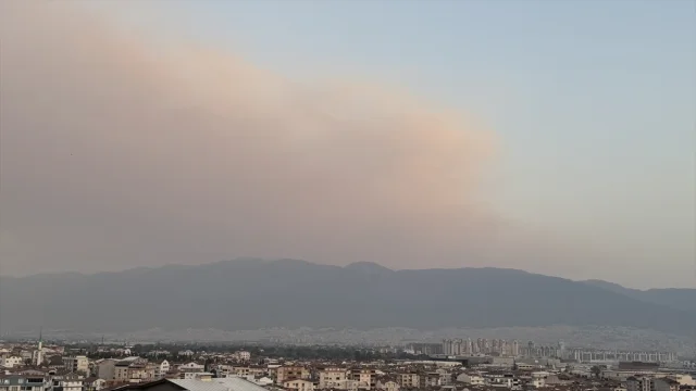 Bursa'da Orman Yangını Alarm Veriyor: Dumanlar Şehri Kapladı