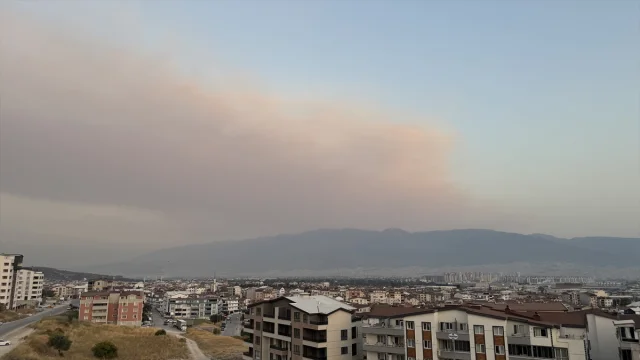 Bursa'da Orman Yangını Alarm Veriyor: Dumanlar Şehri Kapladı