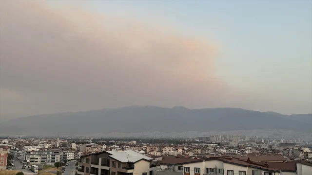 Bursa'da Orman Yangını Alarm Veriyor: Dumanlar Şehri Kapladı