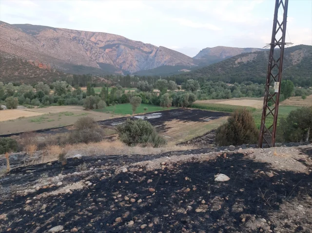 Çorum'da Üzücü Olay Anız Yangını Can Aldı