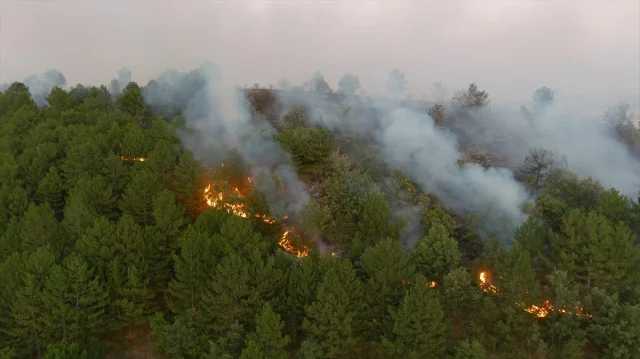 Kütahya'da Orman Yangını Hızla Kontrol Altına Alındı