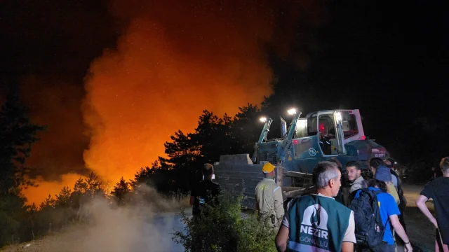 Karabük'te Orman Yangını: Müdahale Sürüyor