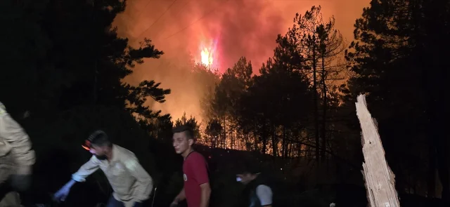 Karabük'te Orman Yangını: Müdahale Sürüyor