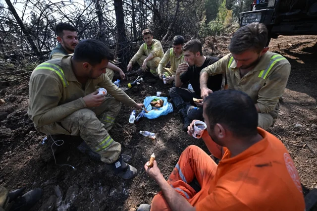 Karabük'te Orman Yangınlarıyla Mücadelede Büyük Direniş