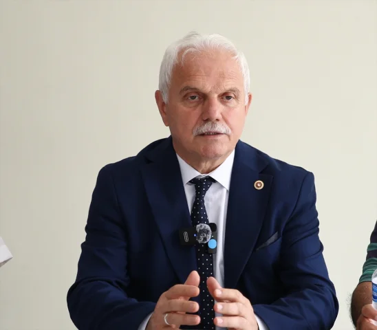 Dijital Telif Yasası İçin Düğmeye Basıldı