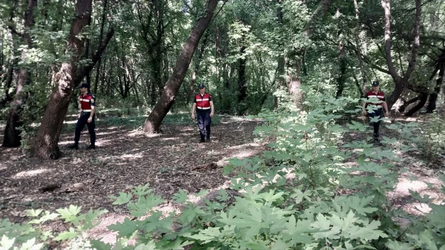 Muğla’da Jandarma Ekiplerinden Sığla Ormanlarını Koruma Seferberliği