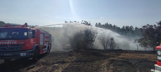 Samsun'da Buğday Tarlasında Çıkan Yangın Büyük Alana Zarar V...