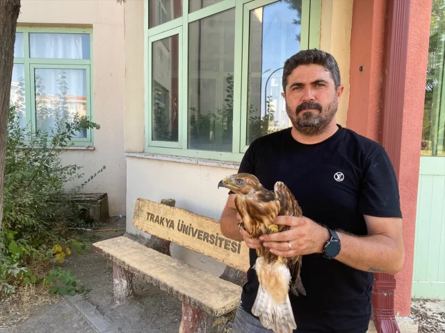 Yüksek Sıcaklıklar Yaban Hayatını Tehdit Ediyor: Edirne'de Bitkin Düşen Hayvanlar Kurtarılıyor