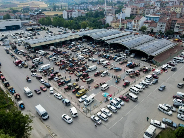 Taşköprü Sarımsağına Yoğun İlgi Devam Ediyor