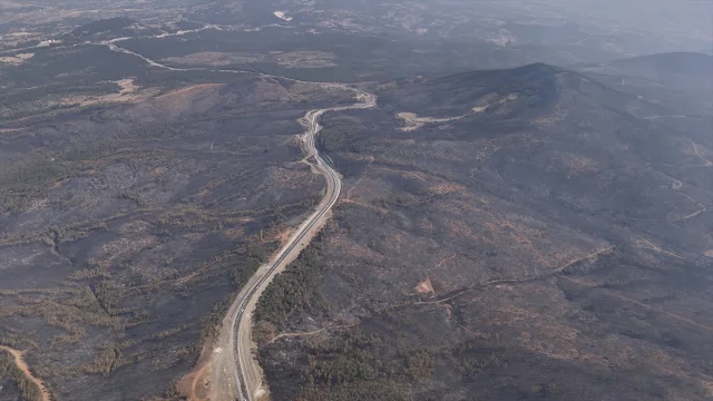 Bursa'da Orman Yangınlarıyla Mücadele Devam Ediyor