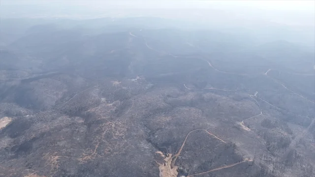 Bursa'da Orman Yangınlarıyla Mücadele Devam Ediyor