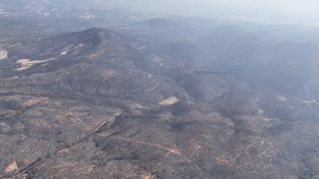 Bursa'da Orman Yangınlarıyla Mücadele Devam Ediyor