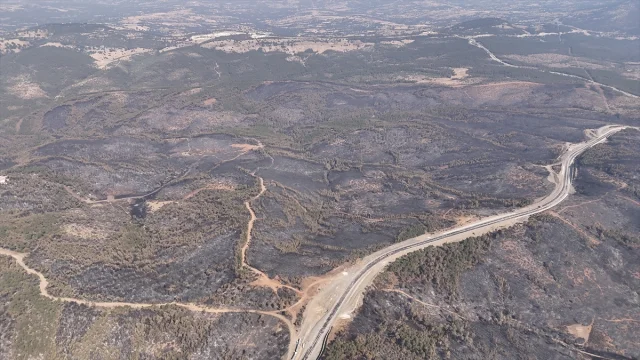 Bursa'da Orman Yangınlarıyla Mücadele Devam Ediyor