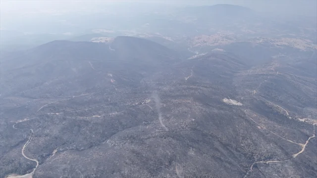 Bursa'da Orman Yangınlarıyla Mücadele Devam Ediyor