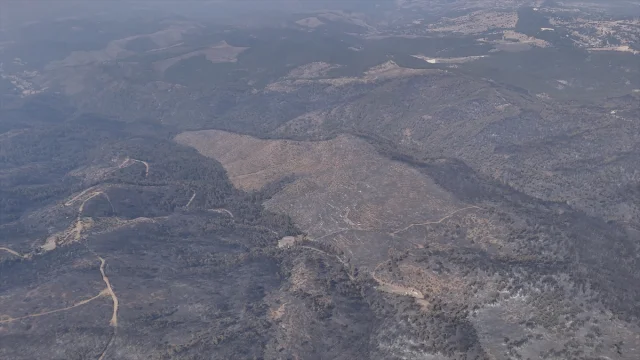 Bursa'da Orman Yangınlarıyla Mücadele Devam Ediyor
