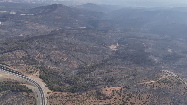 Bursa'da Orman Yangınlarıyla Mücadele Devam Ediyor