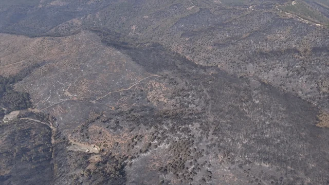Bursa'da Orman Yangınlarıyla Mücadele Devam Ediyor