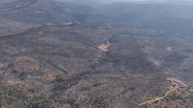 Bursa'da Orman Yangınlarıyla Mücadele Devam Ediyor