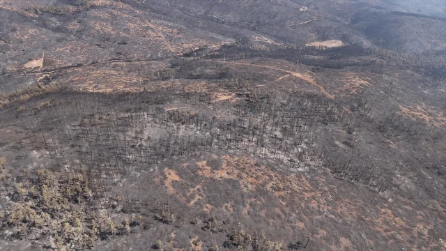 Bursa'da Orman Yangınlarıyla Mücadele Devam Ediyor