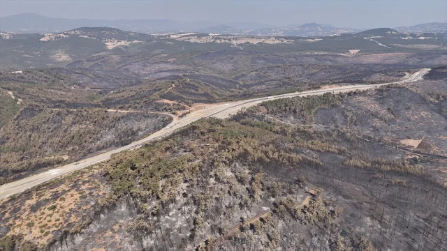 Bursa'da Orman Yangınlarıyla Mücadele Devam Ediyor