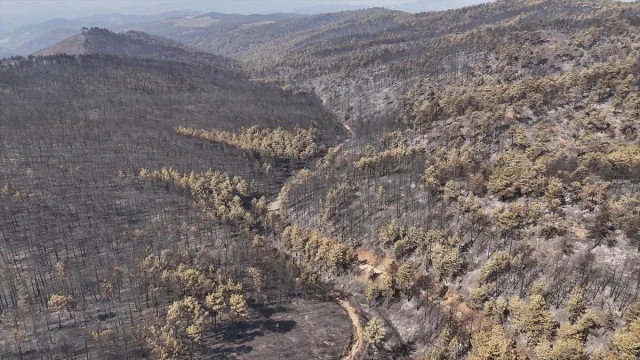 Bursa'da Orman Yangınlarıyla Mücadele Devam Ediyor