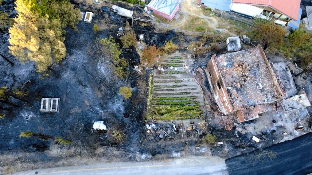 Karabük'teki Orman Yangınlarının Ağır Bilânçosu Ortaya Çıktı