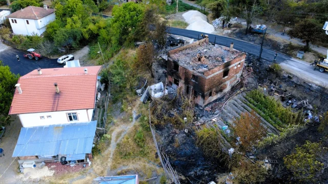 Karabük'teki Orman Yangınlarının Ağır Bilânçosu Ortaya Çıktı