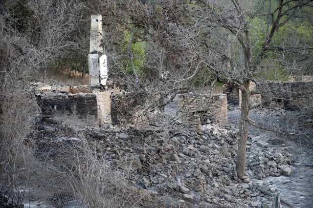 Karabük'teki Orman Yangınlarının Ağır Bilânçosu Ortaya Çıktı