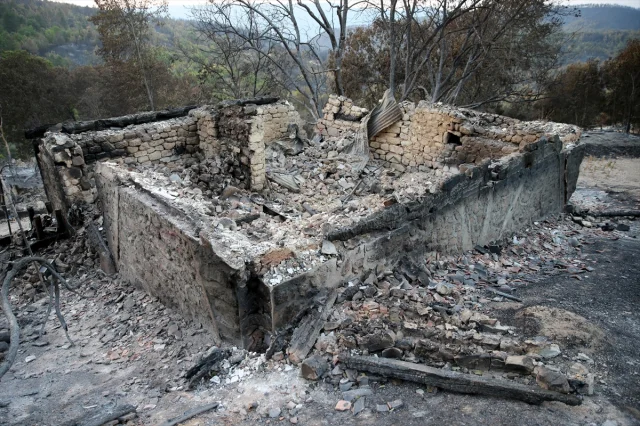 Karabük'teki Orman Yangınlarının Ağır Bilânçosu Ortaya Çıktı