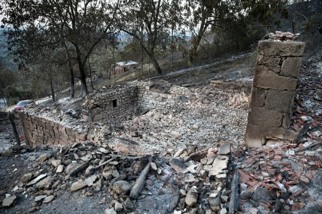 Karabük'teki Orman Yangınlarının Ağır Bilânçosu Ortaya Çıktı