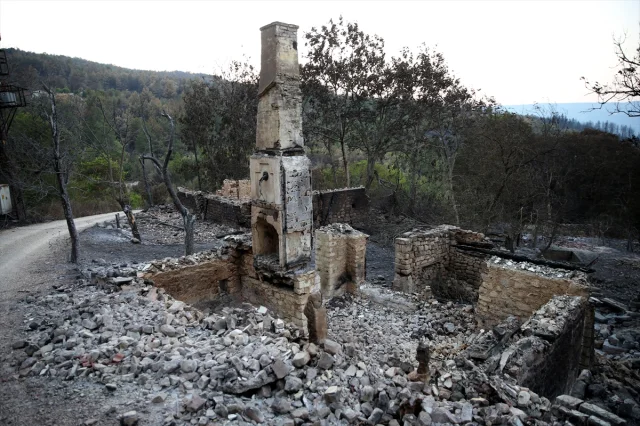Karabük'teki Orman Yangınlarının Ağır Bilânçosu Ortaya Çıktı
