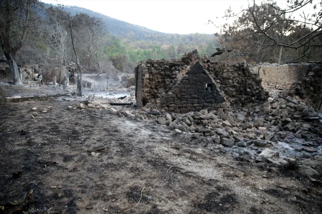 Karabük'teki Orman Yangınlarının Ağır Bilânçosu Ortaya Çıktı