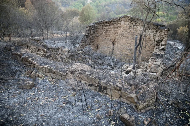 Karabük'teki Orman Yangınlarının Ağır Bilânçosu Ortaya Çıktı
