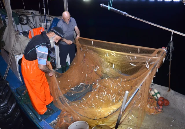 Kocaeli Ereğli Balık Hali'nin Dinamik Mezatları: Deniz Ürünl...