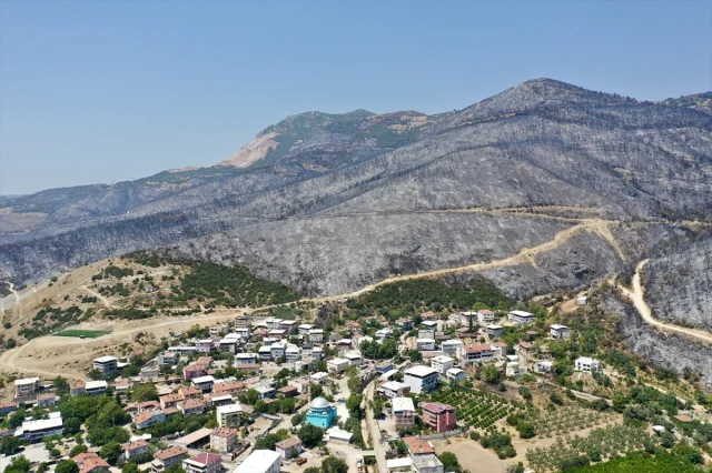 Bursa'da Orman Yangını: Köy Halkının Büyük Mücadelesi