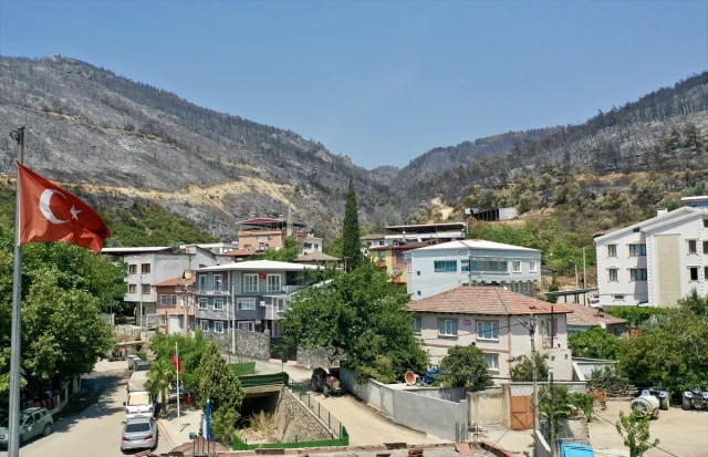 Bursa'da Orman Yangını: Köy Halkının Büyük Mücadelesi