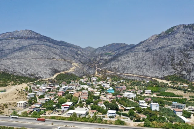 Bursa'da Orman Yangını: Köy Halkının Büyük Mücadelesi